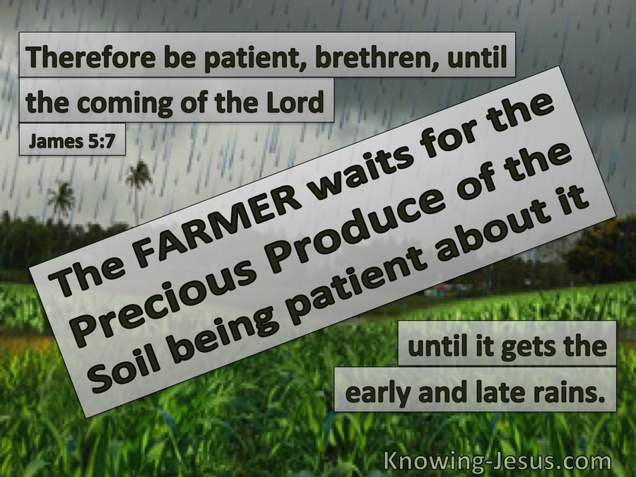 James 5:7 Be Patient Until The Coming Of The Lord (gray)